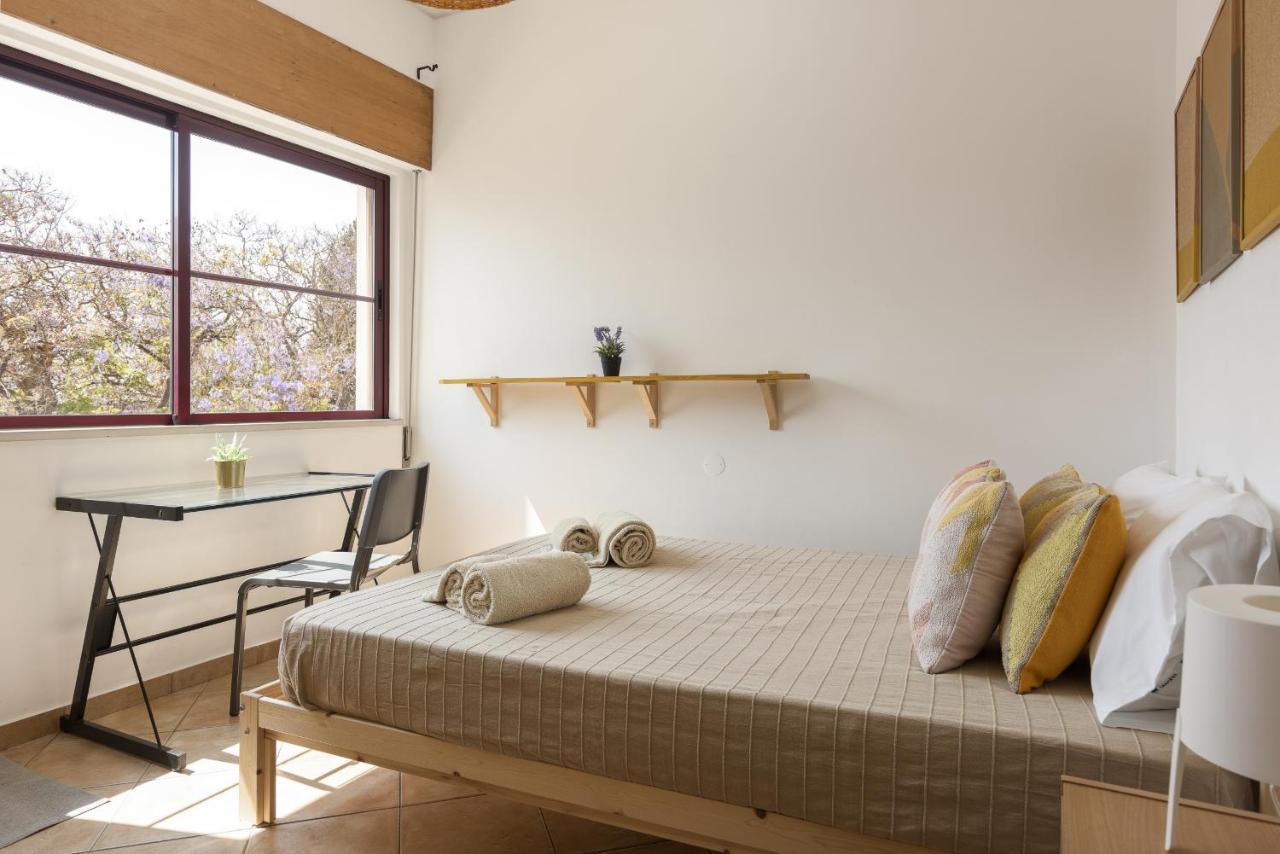 Casa Jardim II - City Center By Hd Properties District de District de Faro Extérieur photo